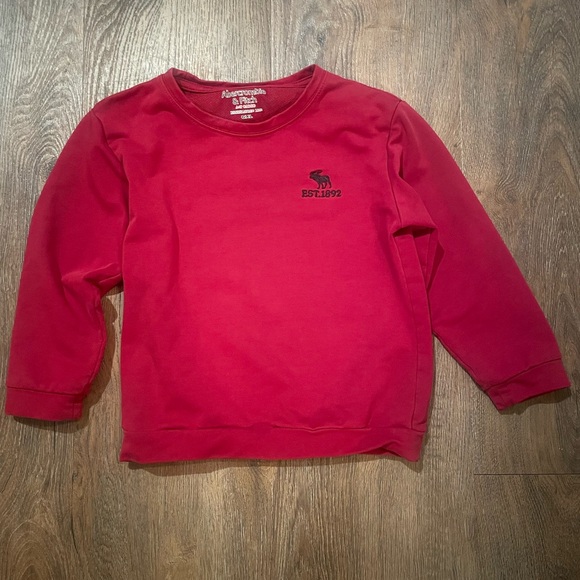 Abercrombie & Fitch Other - Abercrombie Kids Sweatshirt
